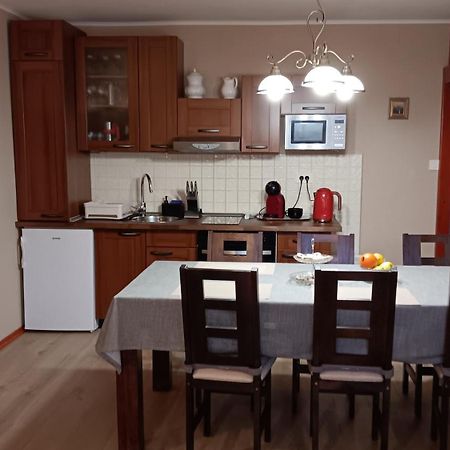 Apartment Medo Ravna Gora Exterior photo